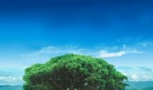 环保从我做起口号