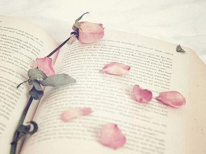 然后忘记了梦想