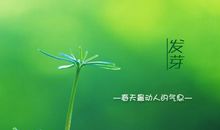 描写春天的句子大全