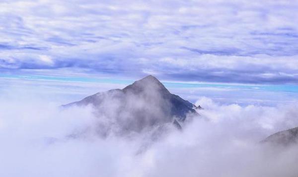 不如在秃头山上种植橡树