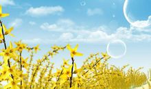 委婉发朋友圈要钱的句子