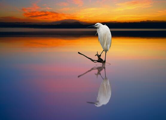   “ 5月5日”（梅耀辰） 曲曲死了