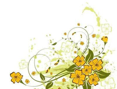 美丽而辉煌的保证