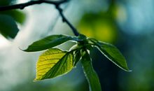 深夜发朋友圈的句子