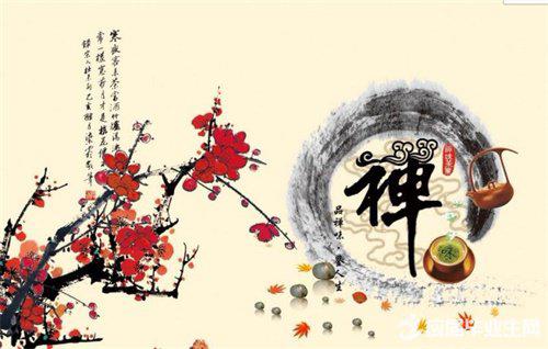 从无知到快速成长