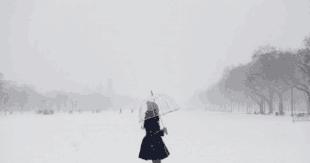 但很容易让人失望