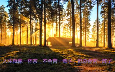 唯美个性签名图 16