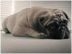 生活感悟的说说大全 16