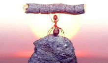 周二发朋友圈的说说 适合周二发的说说