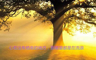 给你城市的温柔