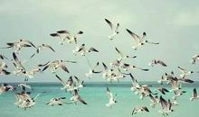 对姐妹失望看透的句子说说心情