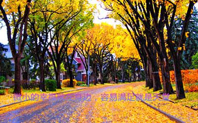 停止意味着进步