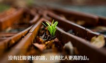 四年级优美句子摘抄大全不少于10个字