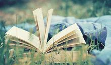 安妮宝贝《彼岸花》名句