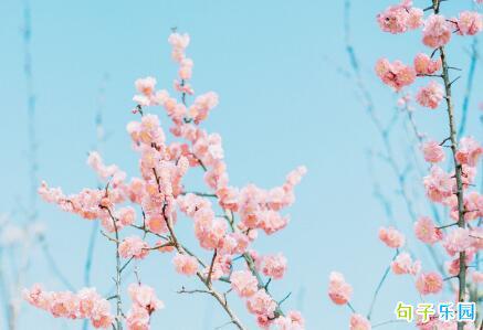 春分即将在2020年到来