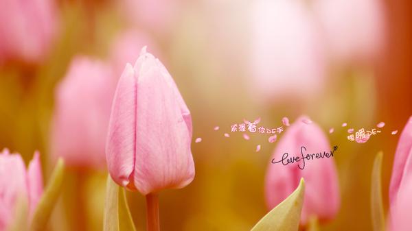 但这是从痛苦到斗争