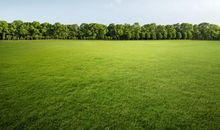 描写草原的优美诗句