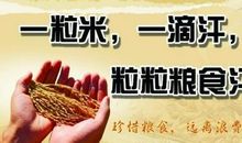 节约粮食的文采句子