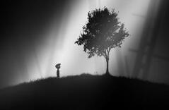 因为他对他失去了信任