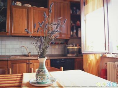 你是我骨子里的烦恼