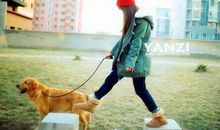 2020一切会越来越好的说说