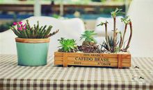 珍惜亲情的时光的句子