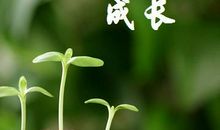 描写儿童成长的句子