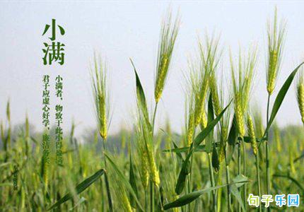 祝小满的时候到了