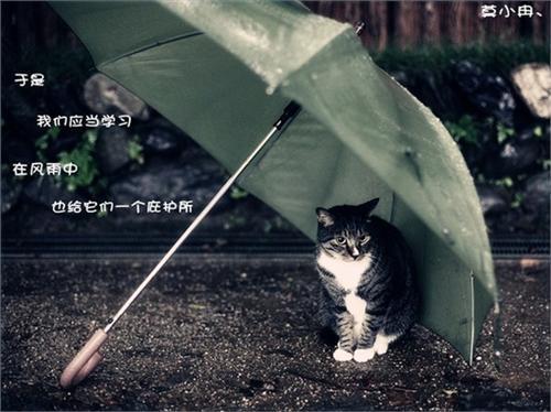 那些害怕受到伤害的人