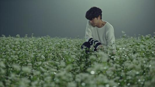 悲观的人意味着他的生活也是悲观和失望的