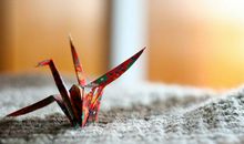 生活积极向上的句子