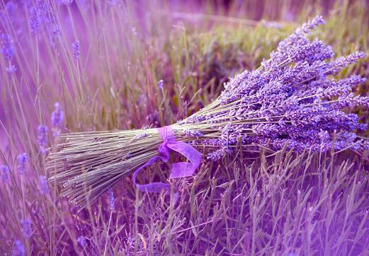 每个人的成功之路可能有所不同