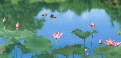 永远不要放弃这样的誓言