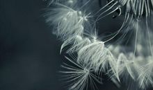 很乐观很积极向上的句子