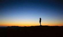 心静才能听到万物的声音的近议句子