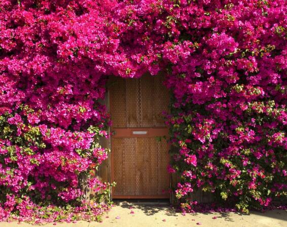 只有您才是最可靠的