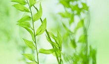 形容亲情一家人的句子