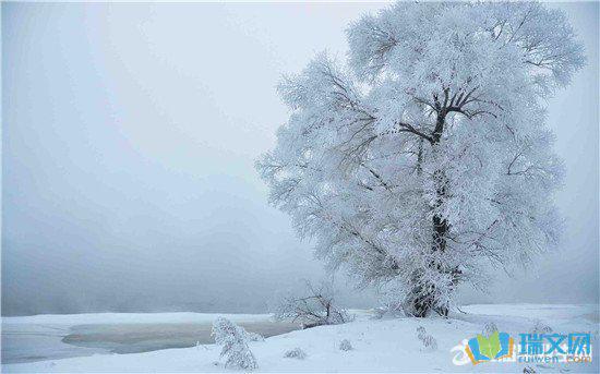 简介：小学生应更多地学习句子并加以积累