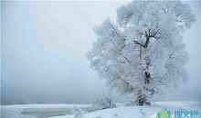 小学生描写冬天的句子