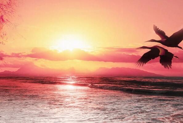 乐观的人可以将悲剧情境视为生活的内容