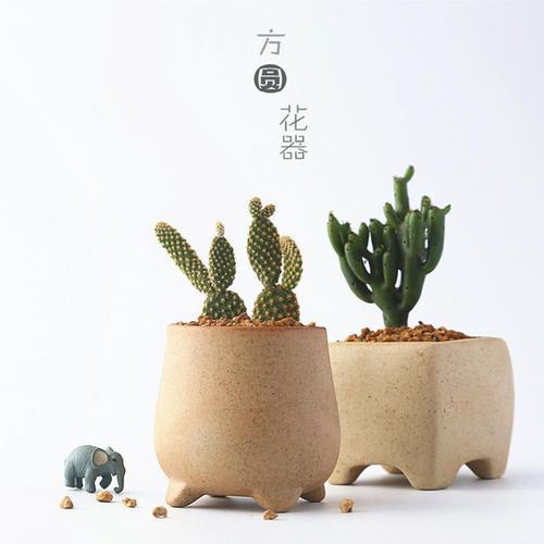 编辑整理了一些关于感恩和感情结论的句子