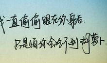 坚持自己的句子