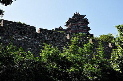 世界上的一只吉羊