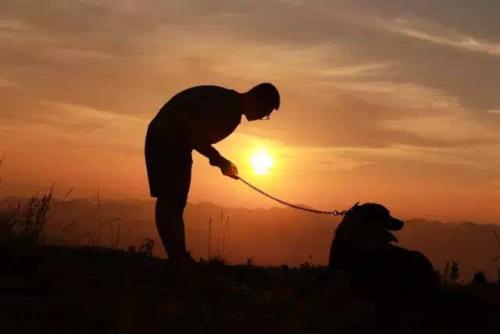 我深刻地了解了不服从是多么的可悲