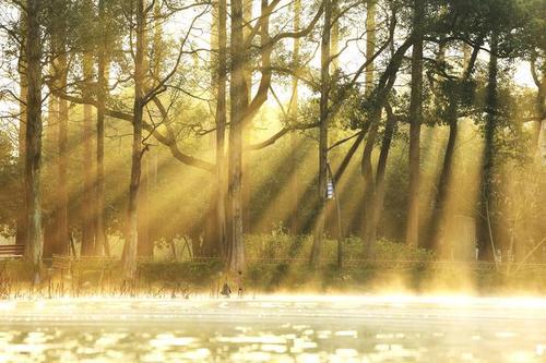 让我们看一下小编撰写的有关放松和快乐的句子