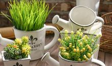 关于关系亲情的句子