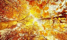 冬天周末短信问候客户