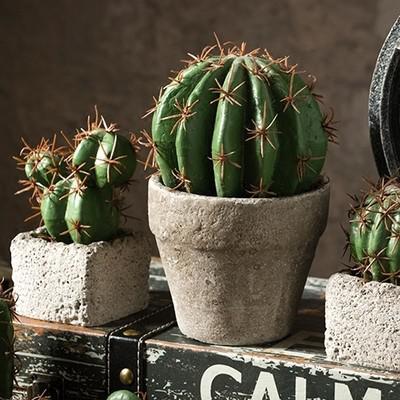 我希望你喜欢它