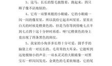 描写动物的句子短句