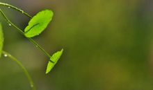 放松心情开心的句子